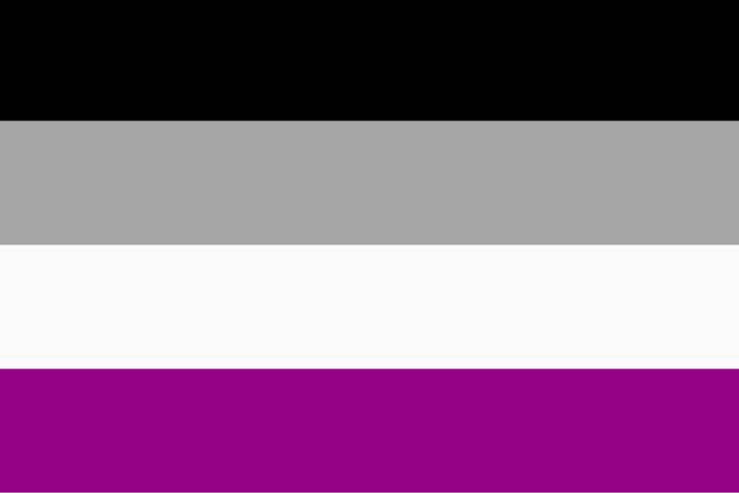 Asexual Pride Flag Merch