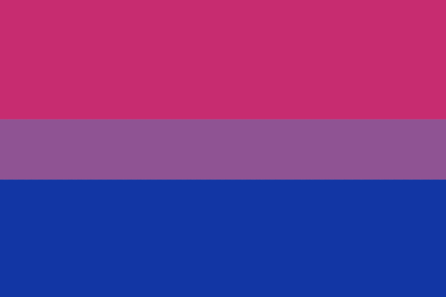 Bisexual Pride Flag Merch