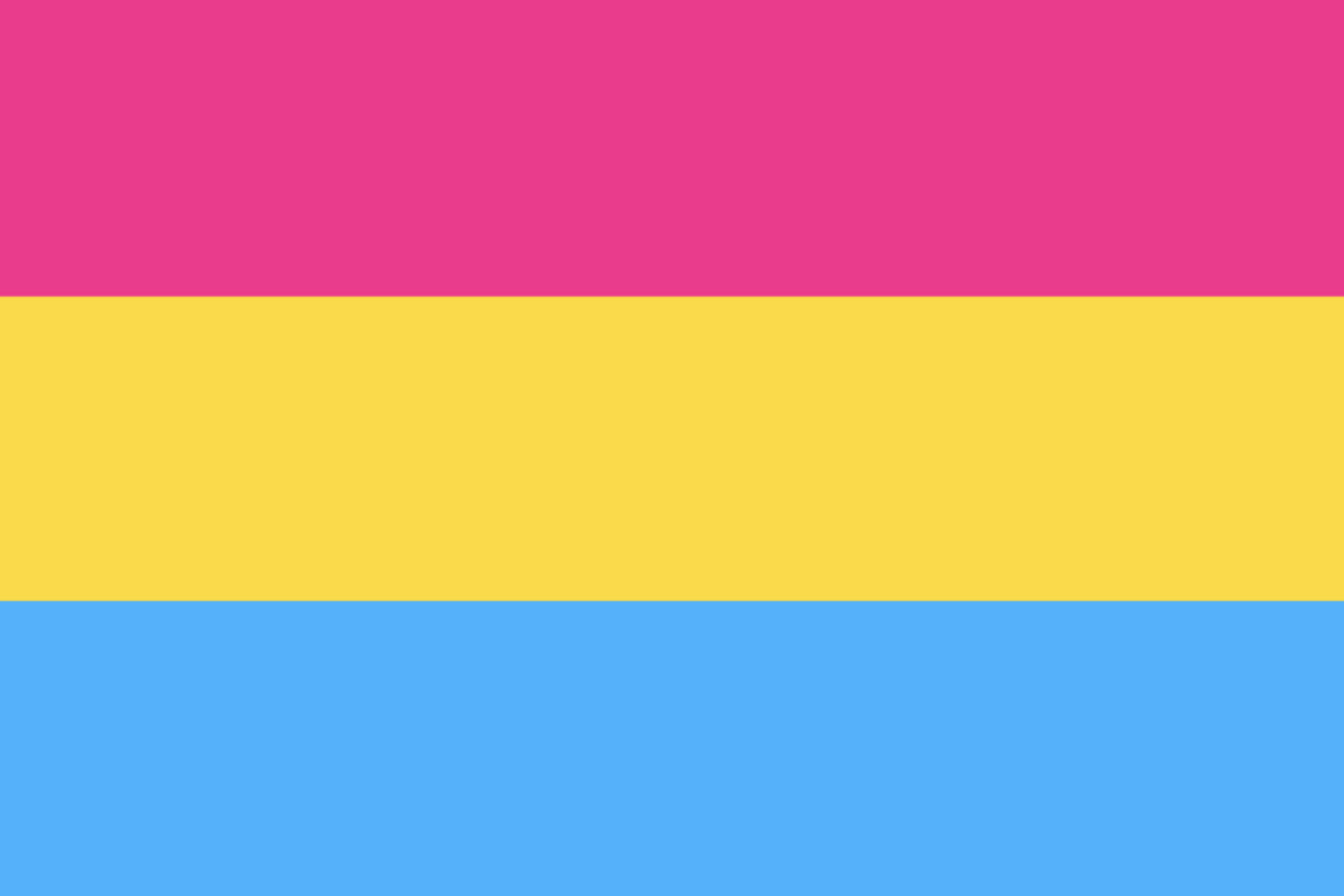 Pansexual Pride Flag Merch