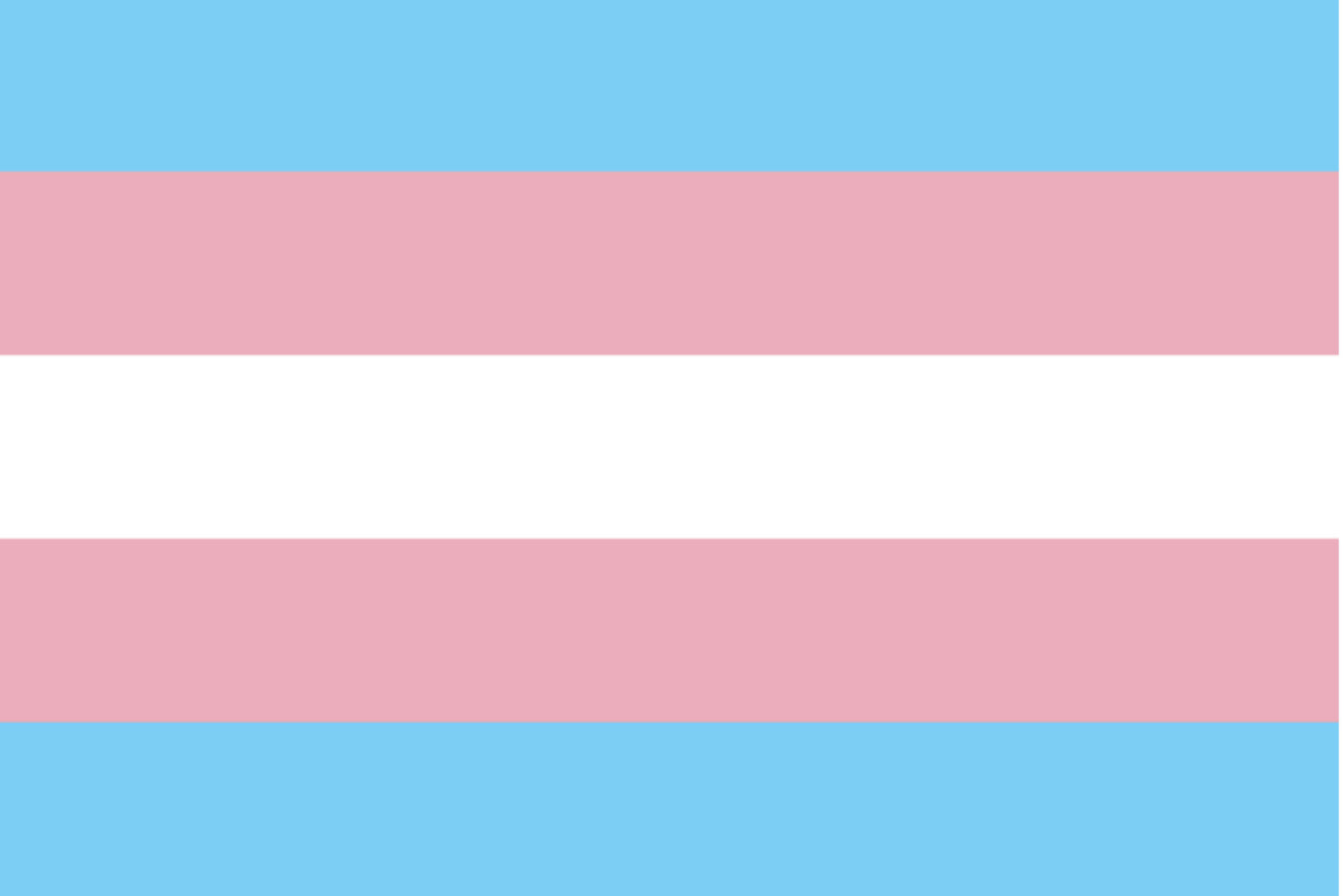 Transgender Pride Flag Merch