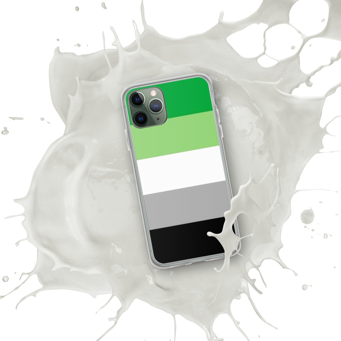 Aromantic Pride Flag iPhone Case