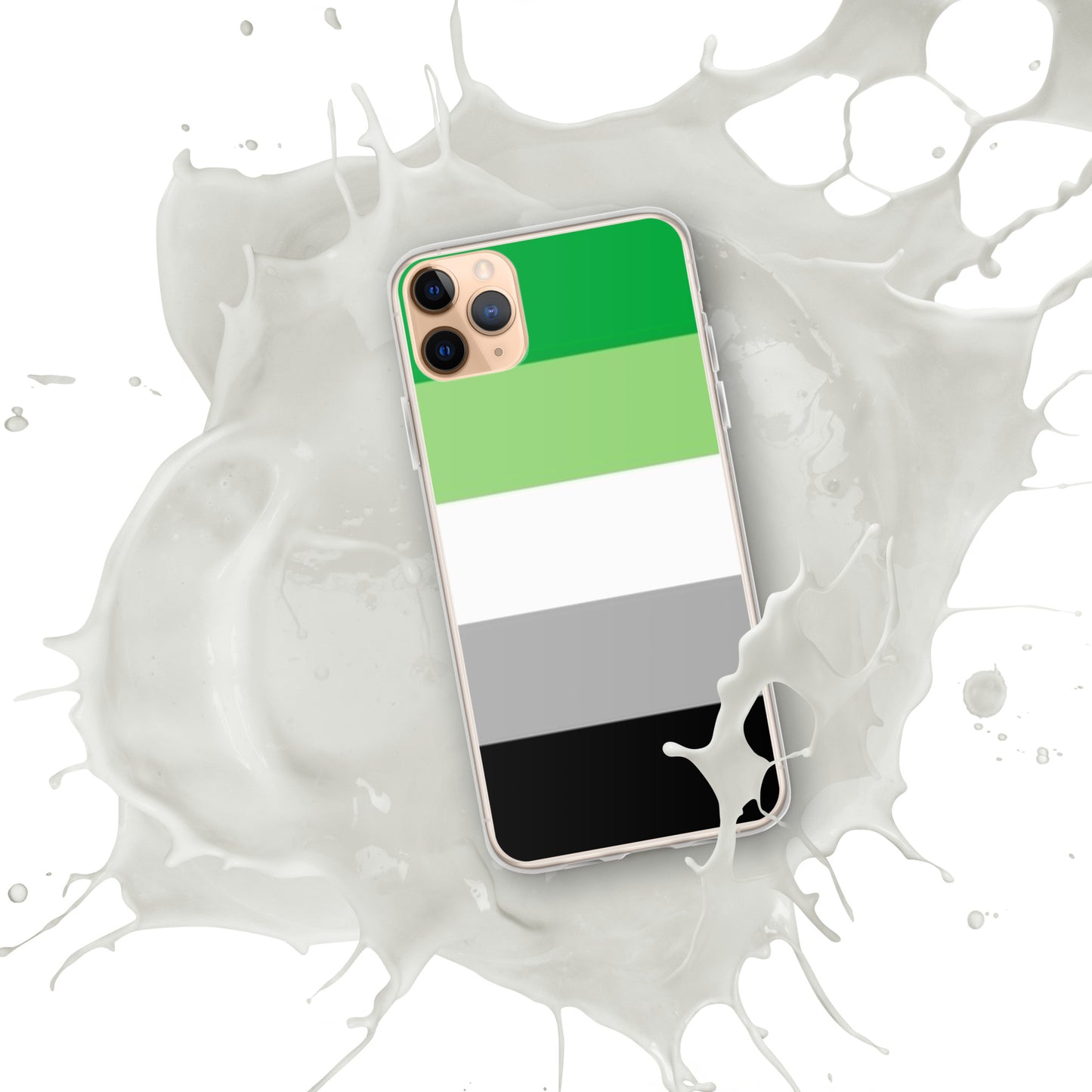 Aromantic Pride Flag iPhone Case