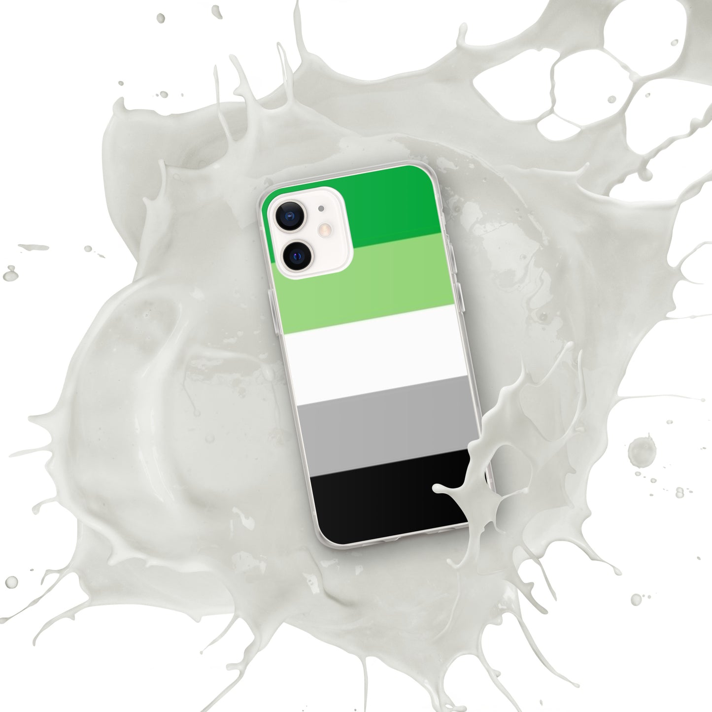 Aromantic Pride Flag iPhone Case