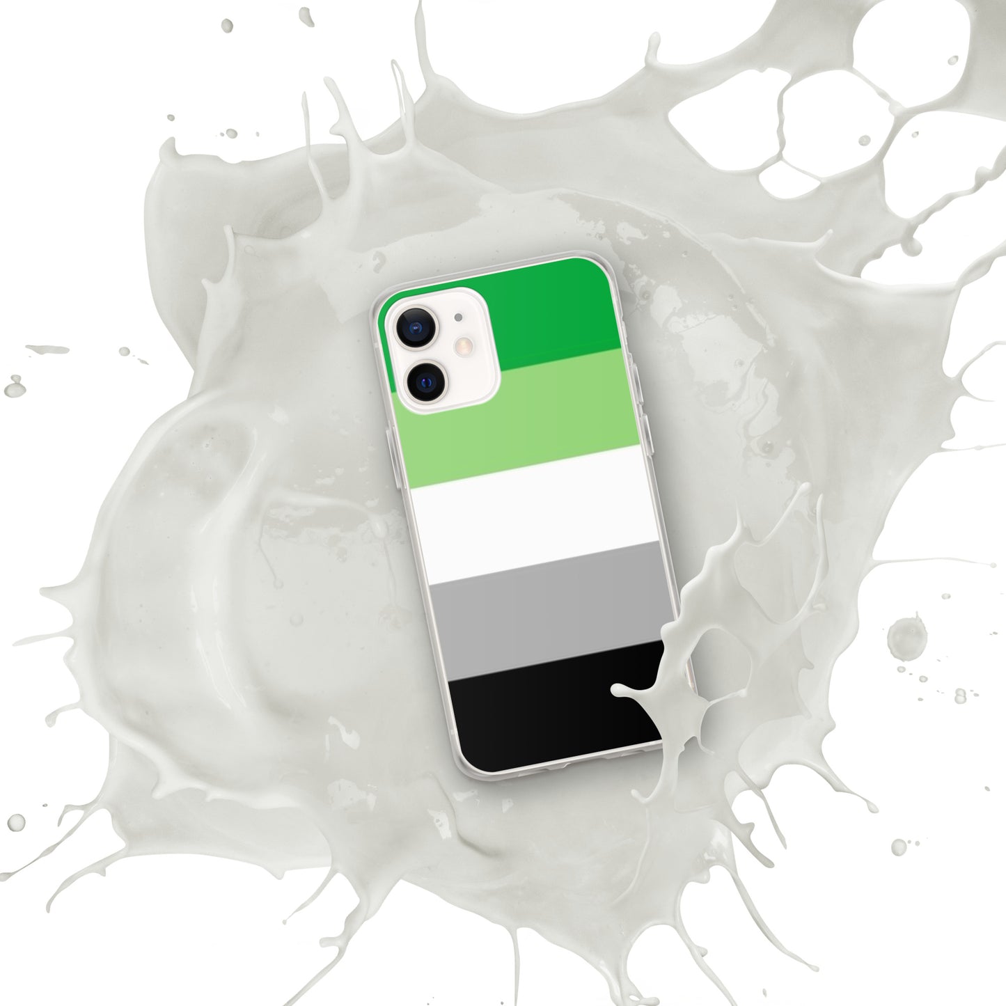 Aromantic Pride Flag iPhone Case