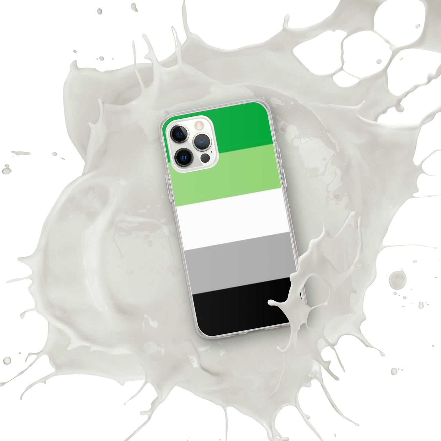 Aromantic Pride Flag iPhone Case