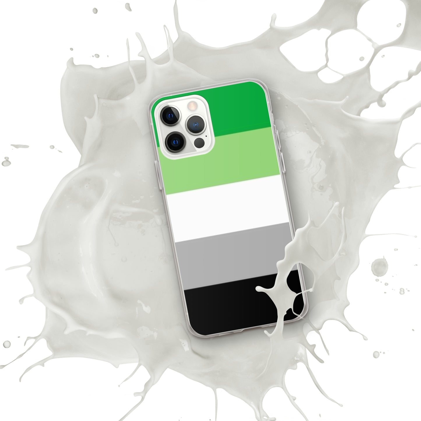 Aromantic Pride Flag iPhone Case