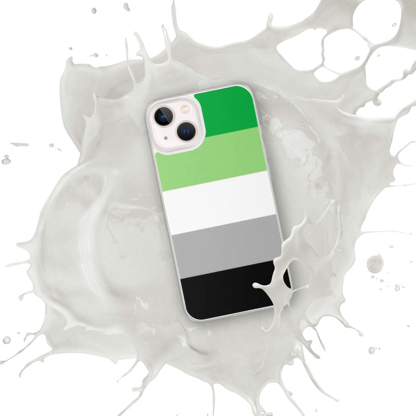 Aromantic Pride Flag iPhone Case