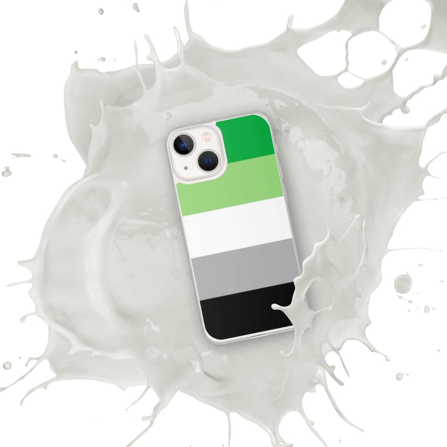 Aromantic Pride Flag iPhone Case