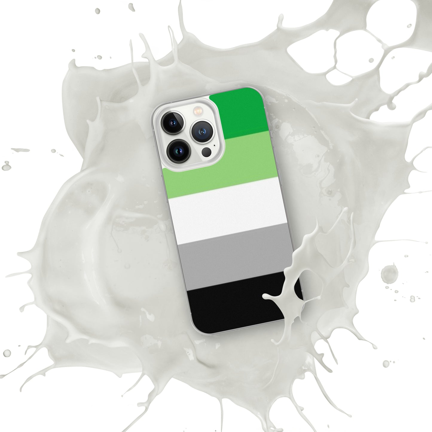 Aromantic Pride Flag iPhone Case