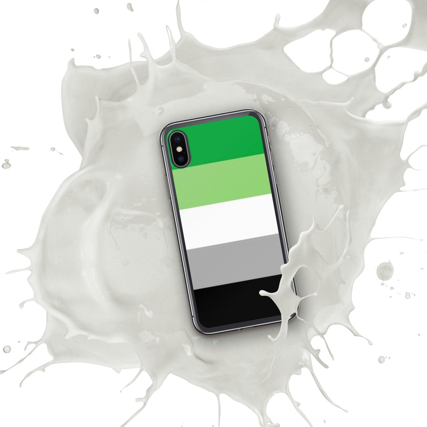 Aromantic Pride Flag iPhone Case