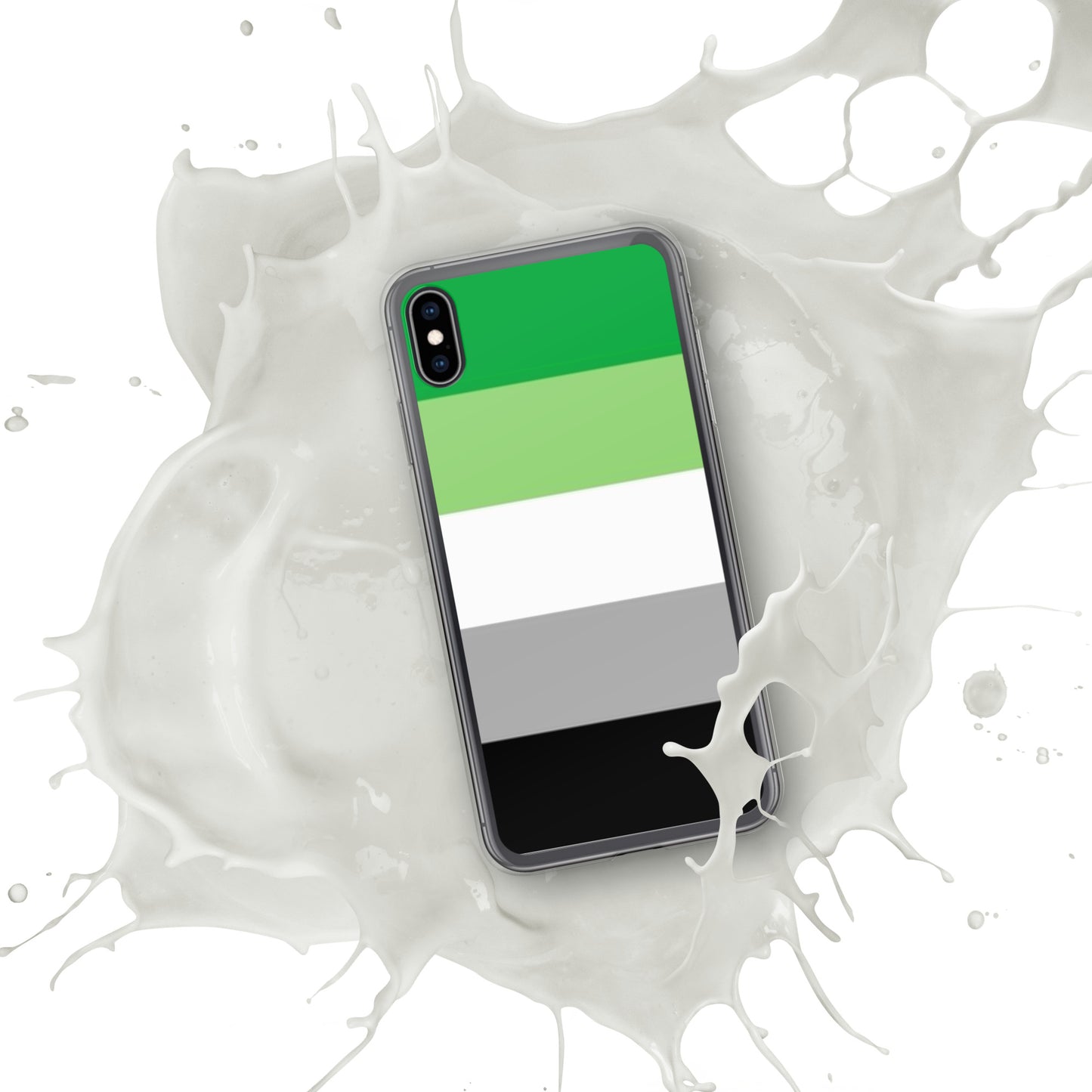 Aromantic Pride Flag iPhone Case