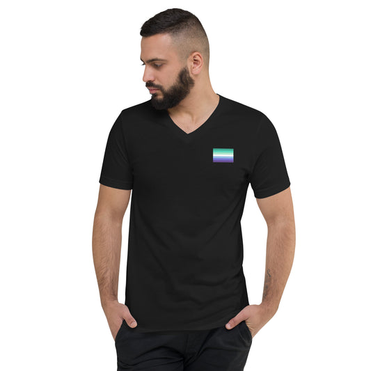 Gay Men's Pride Flag Short Sleeve V-Neck T-Shirt