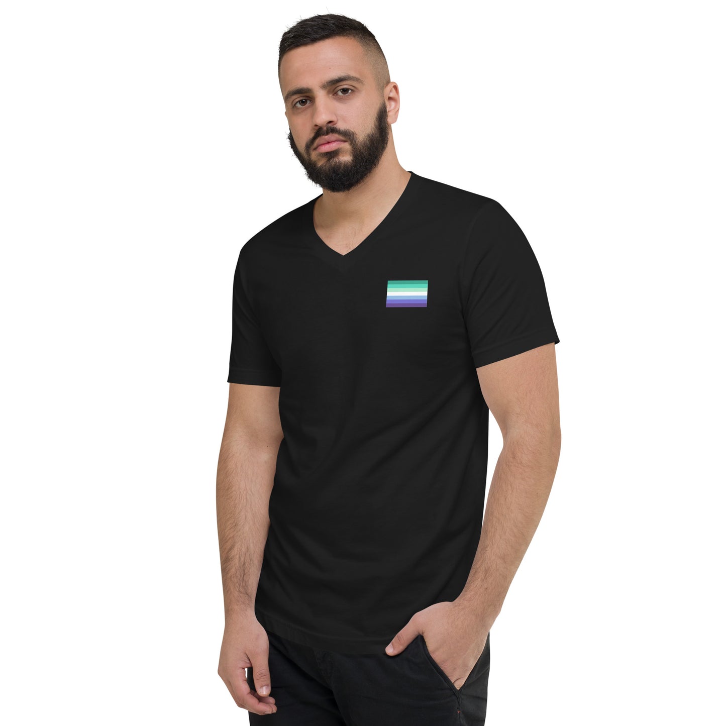 Gay Men's Pride Flag Short Sleeve V-Neck T-Shirt