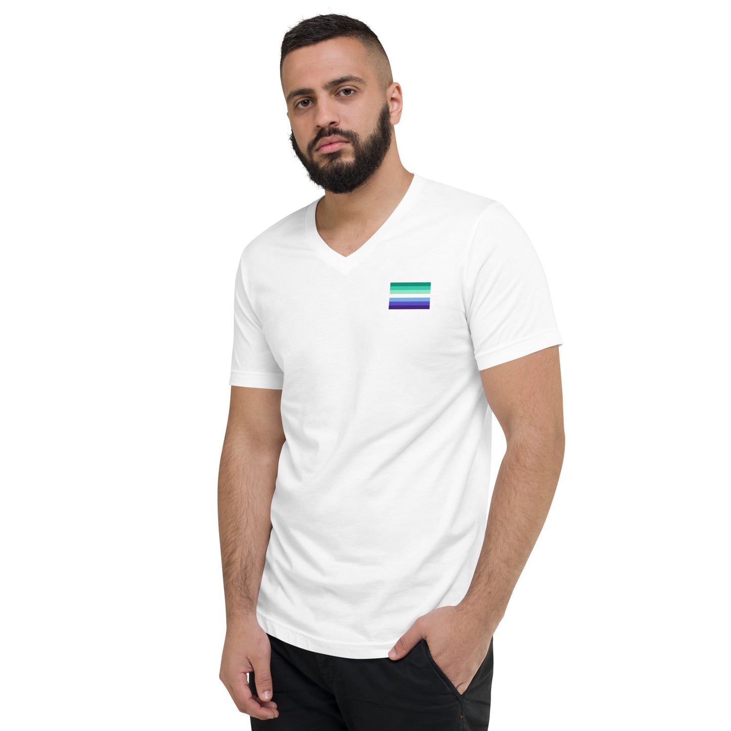 Gay Men's Pride Flag Short Sleeve V-Neck T-Shirt